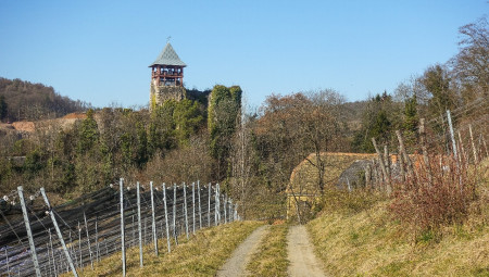 Ruine Klöch